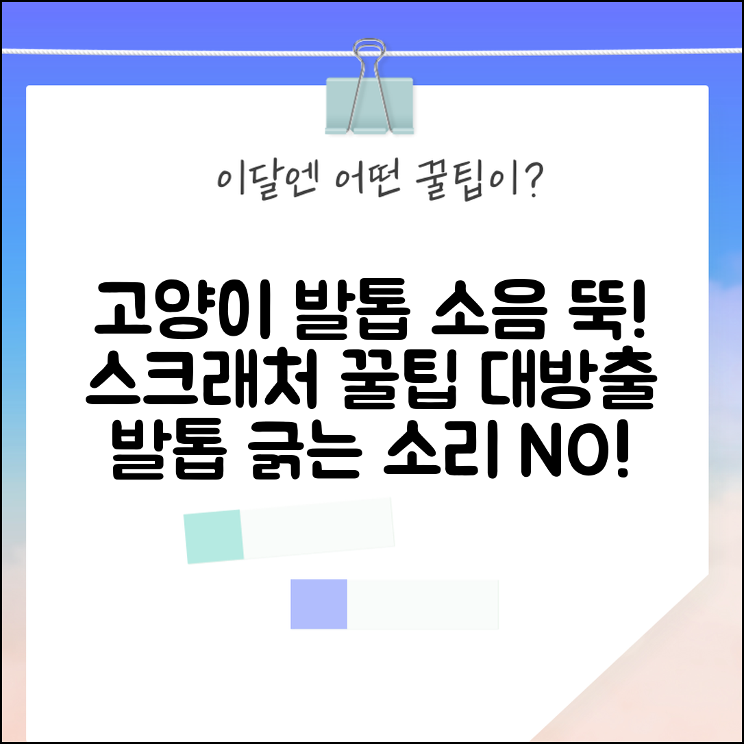 고양이 발톱 긁는 소리 줄이는 방법 있나요 | 고양이 발톱 | 소음 | 스크래처