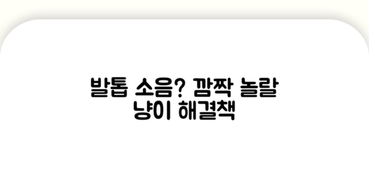 냥이 발톱 소음, 깜짝 놀랄 해결책