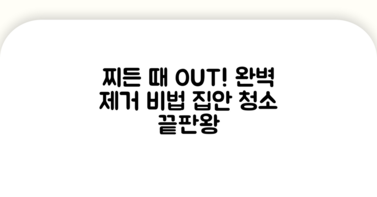찌든 때 제거 실전 노하우