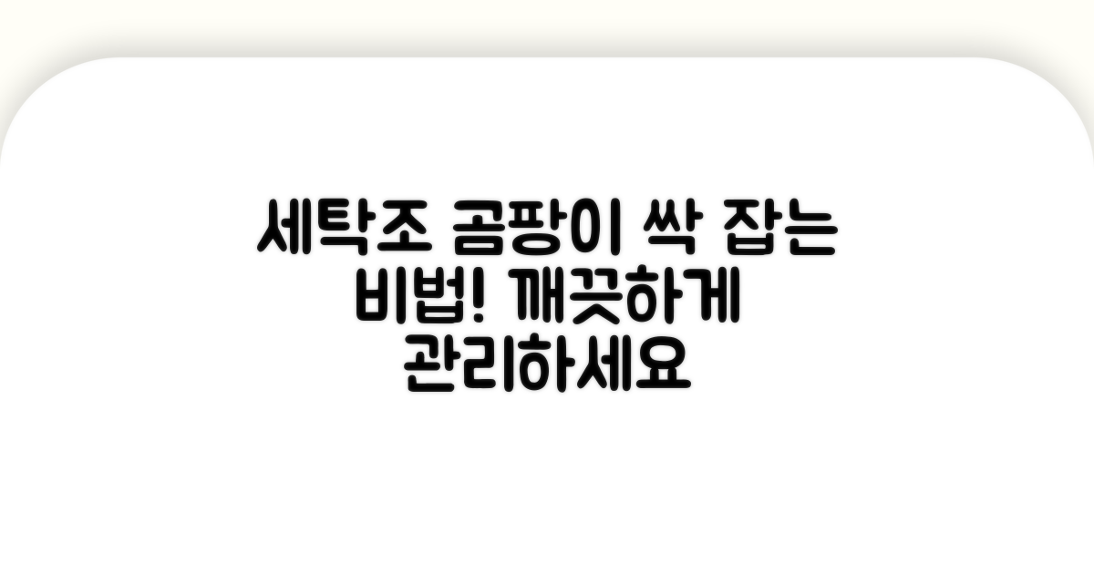 세탁조 곰팡이 예방 관리