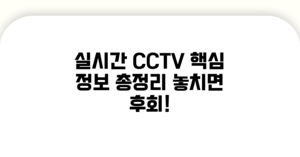 실시간 CCTV 활용 필수 정보