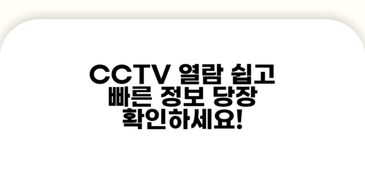 CCTV 정보 접근 방법 안내
