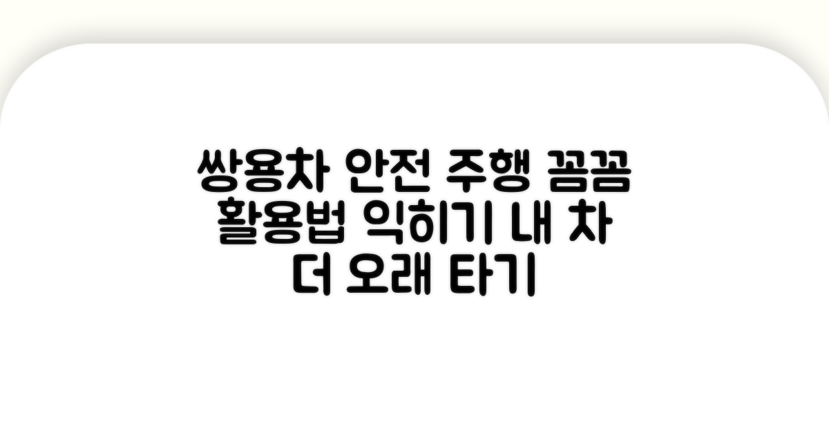 안전한 쌍용차 활용 팁
