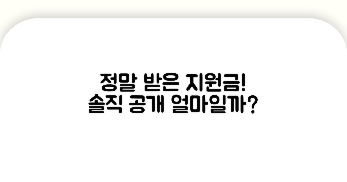 실제 받은 지원금 공개