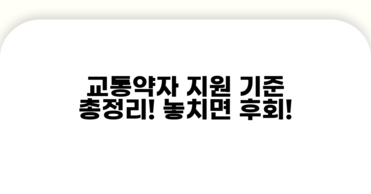 교통약자 지원 기준 총정리