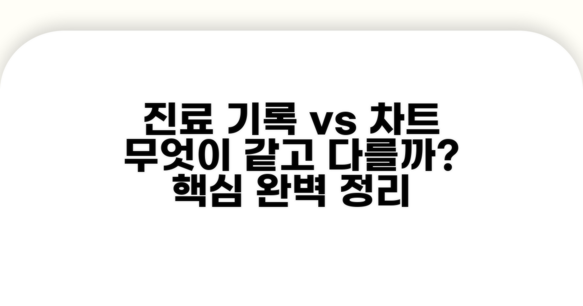 진료 기록과 차트 시스템 차이
