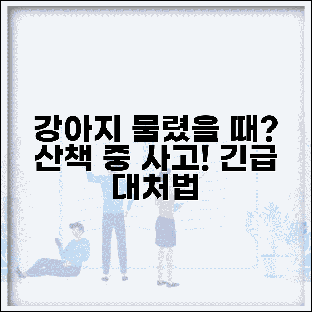 강아지 산책 중 다른 개한테 물리면 어떻게 하나요 | 강아지공격 | 산책사고 | 대처