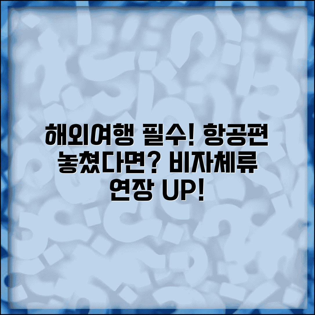 국제선 놓쳤을 때 비자 문제 | 해외여행 항공편 놓치면 비자 연장과 체류 기간 연장