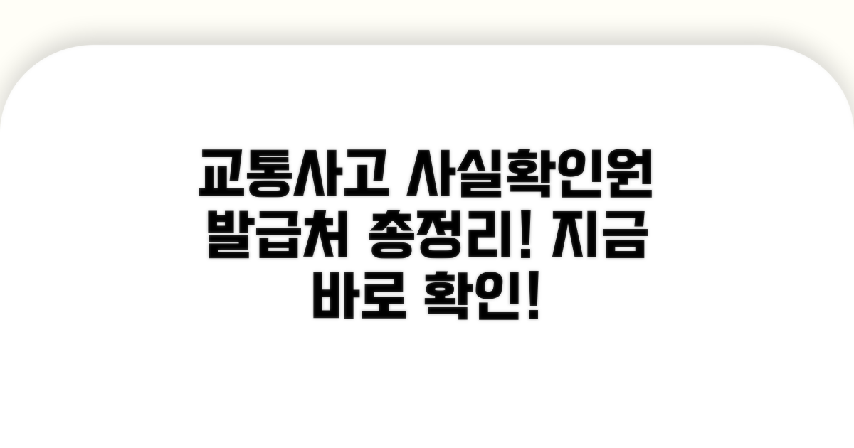 교통사고사실확인원 발급처 총정리