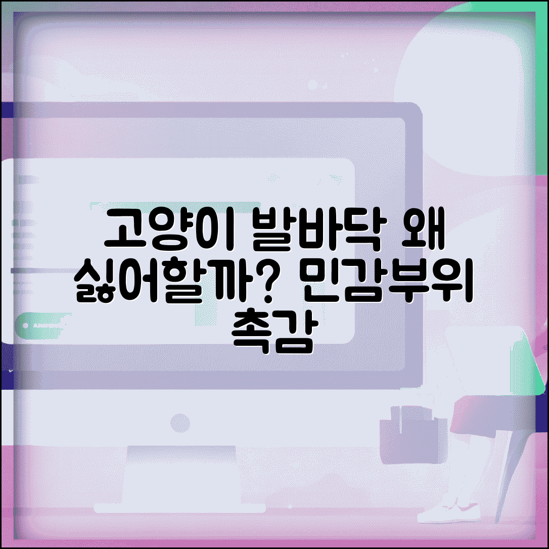 고양이 발바닥 만지면 싫어하는 이유가 뭔가요 | 고양이 발바닥 | 민감부위 | 촉감