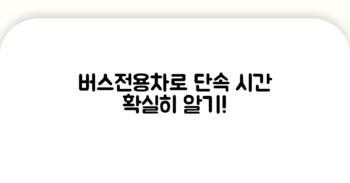 버스전용차로 단속 시간 명확히!