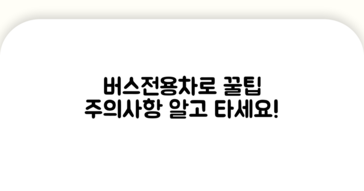 버스차로 이용 꿀팁과 주의사항