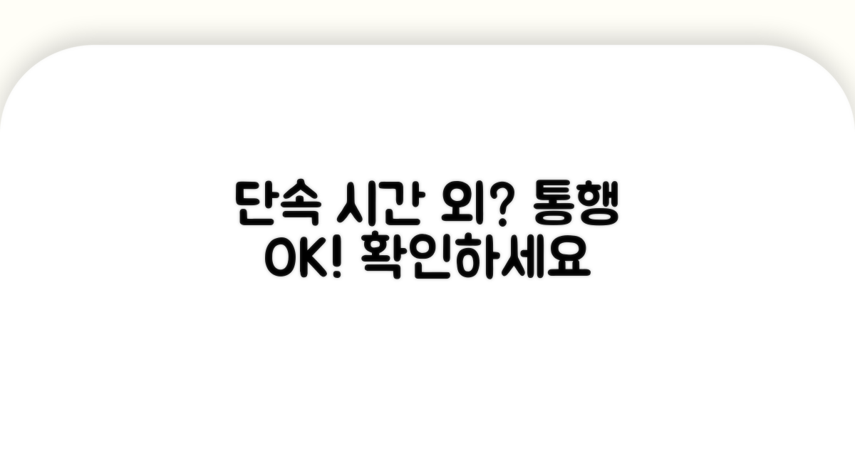 단속 시간 외 통행 가능 여부