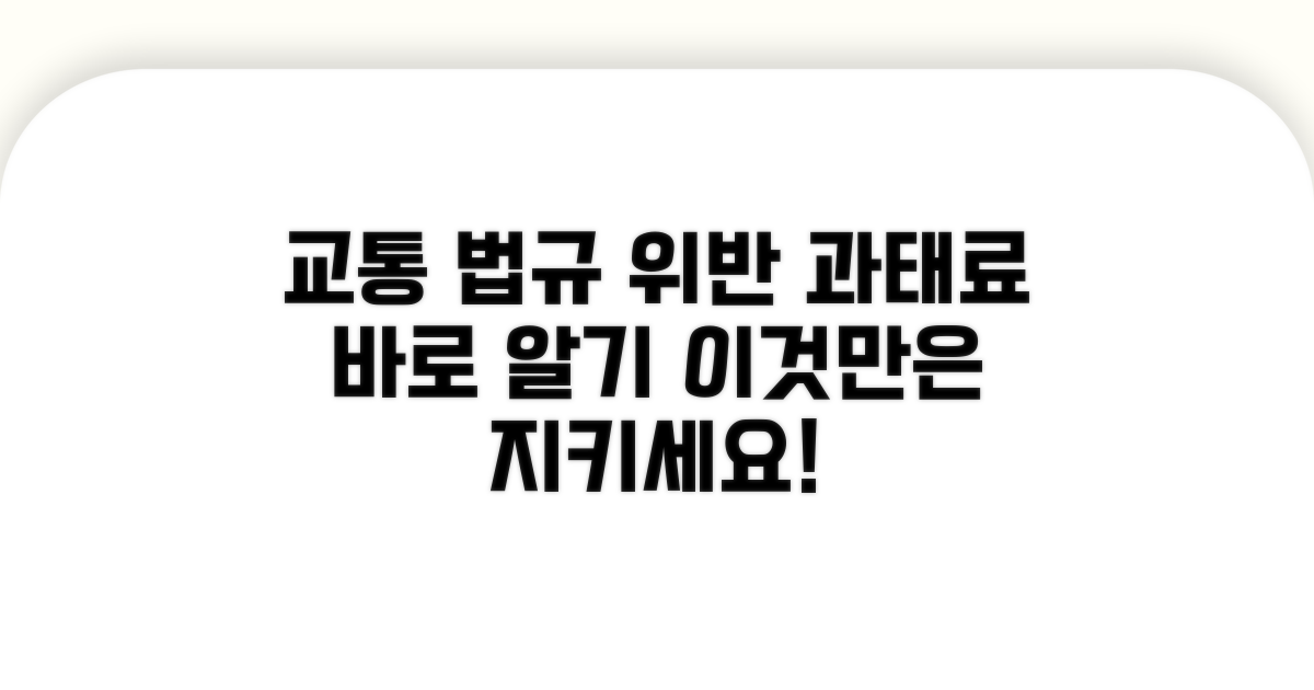 일반차량 위반 시 과태료 안내