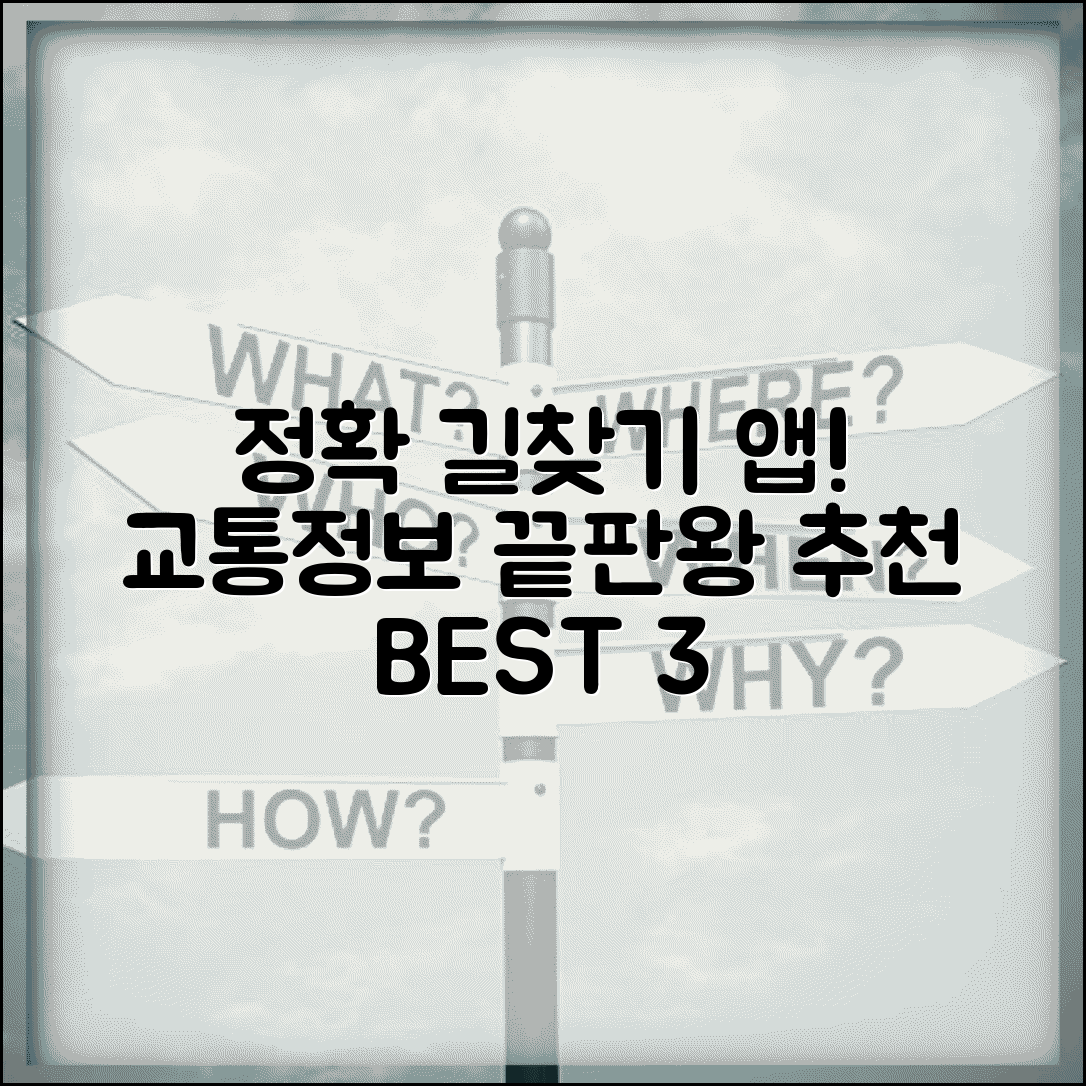 내비게이션 앱 추천 | 정확한 길찾기 + 교통정보 앱 비교