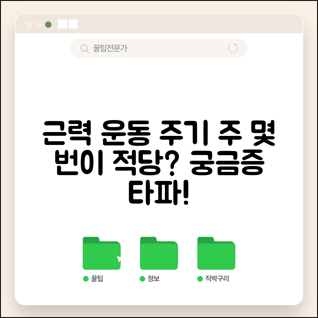 근력 운동 주기 일주일 몇 번 | 웨이트 트레이닝 주기