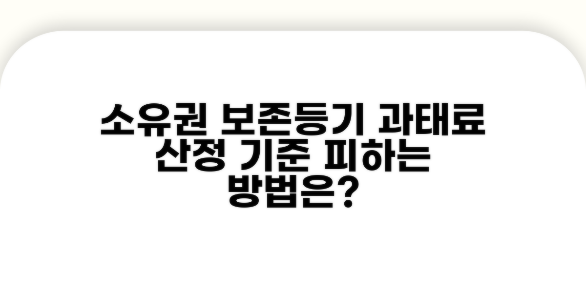 소유권보존등기 과태료 산정 기준
