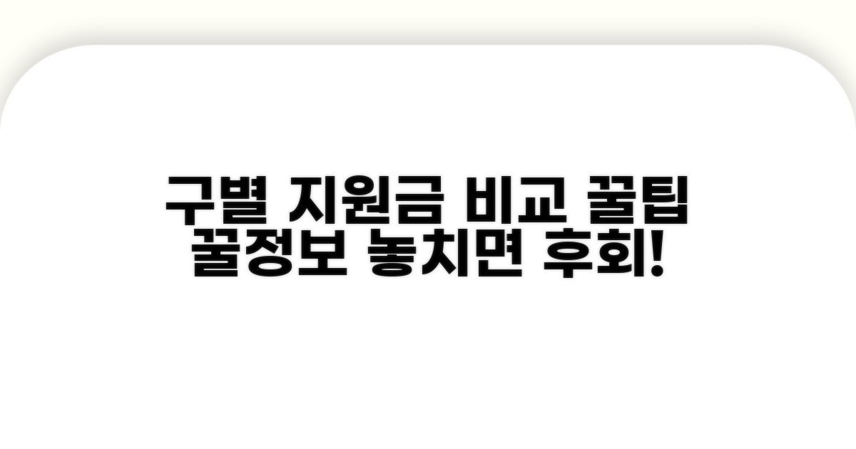 구별 지원금 비교 분석