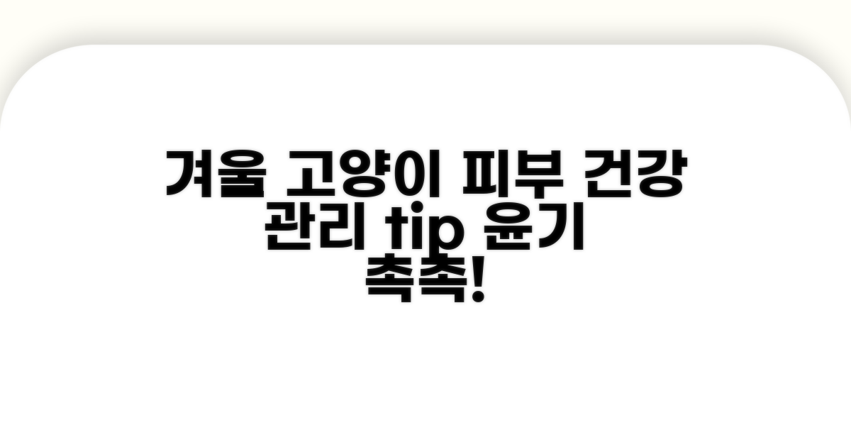 겨울철 고양이 피부 건강 관리