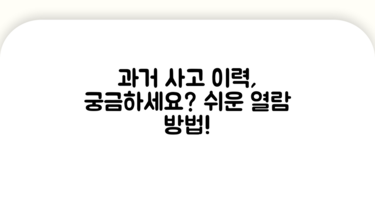 과거 사고 이력 열람 절차