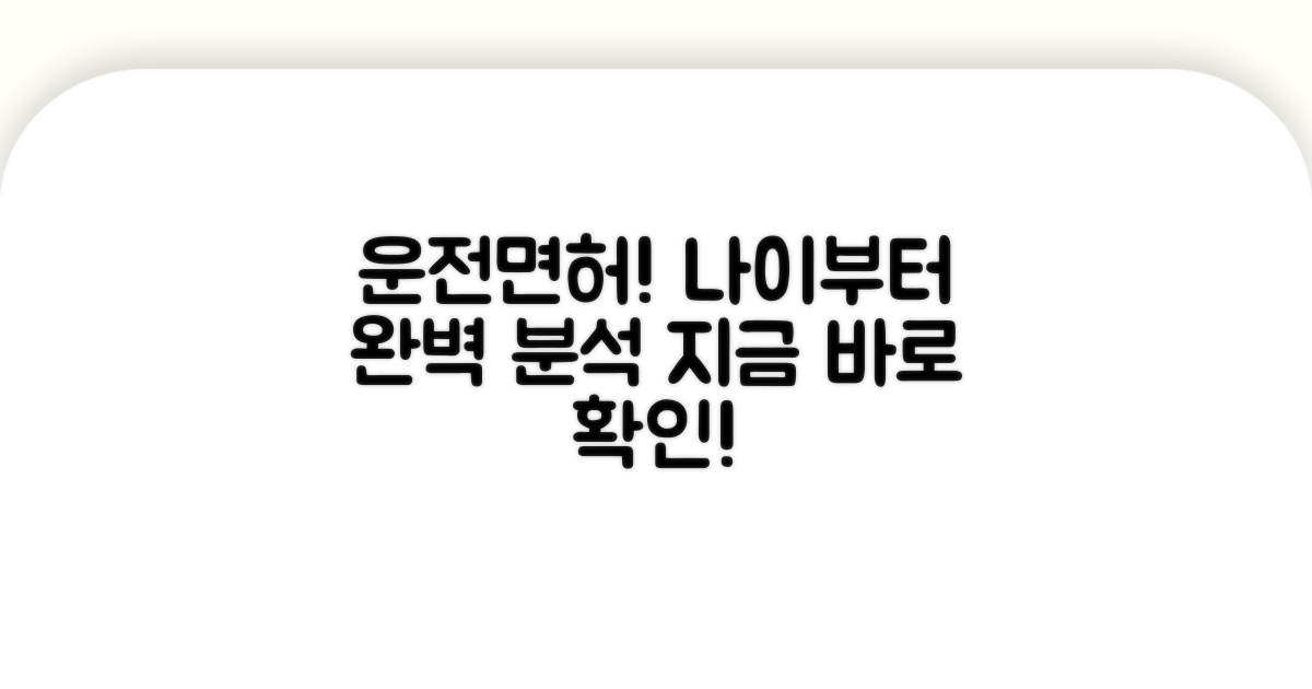 승용차 면허 취득 나이 완벽 분석