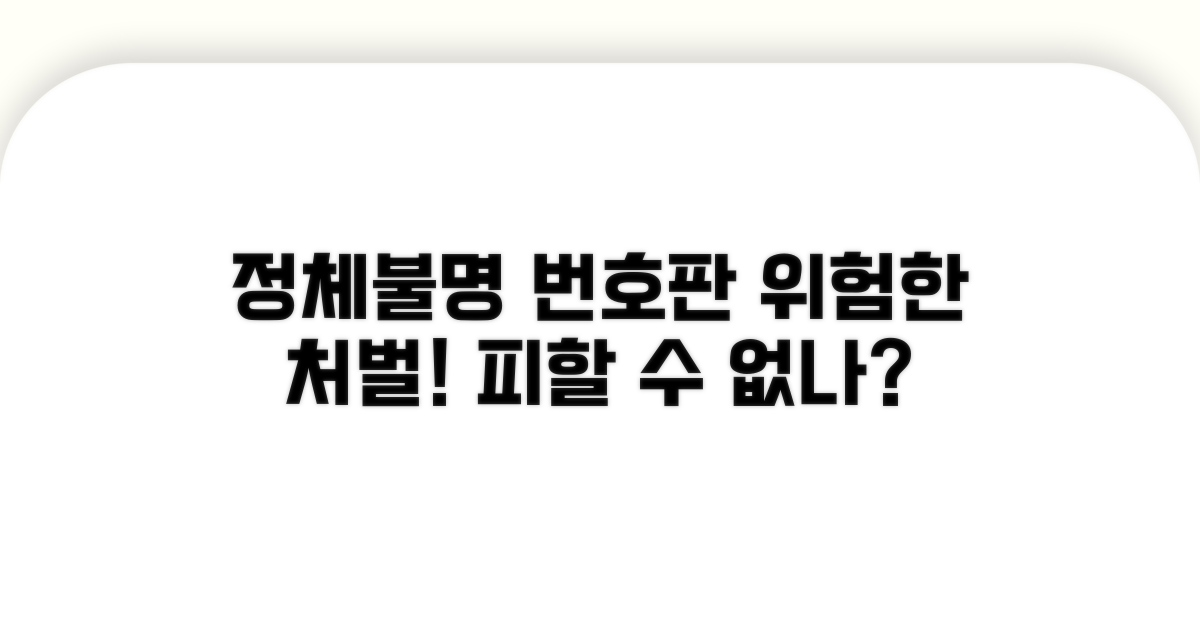 정체불명 번호판, 위험한 처벌