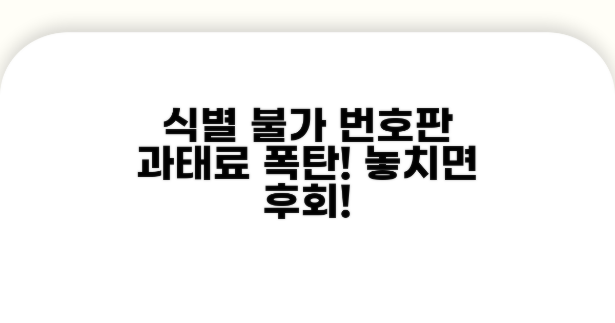 식별 불가 번호판, 과태료 대상!