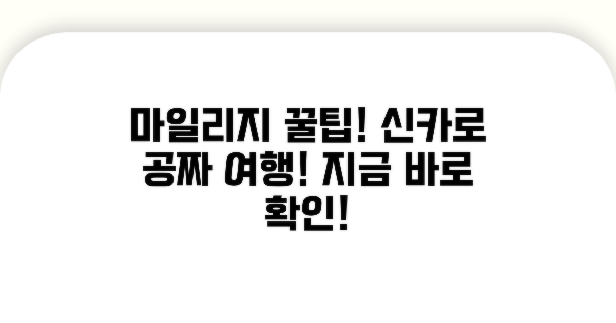 신용카드로 마일리지 쌓는 법