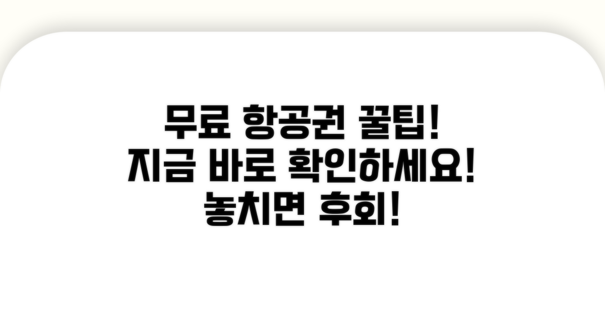 무료 항공권 발권 노하우 공개