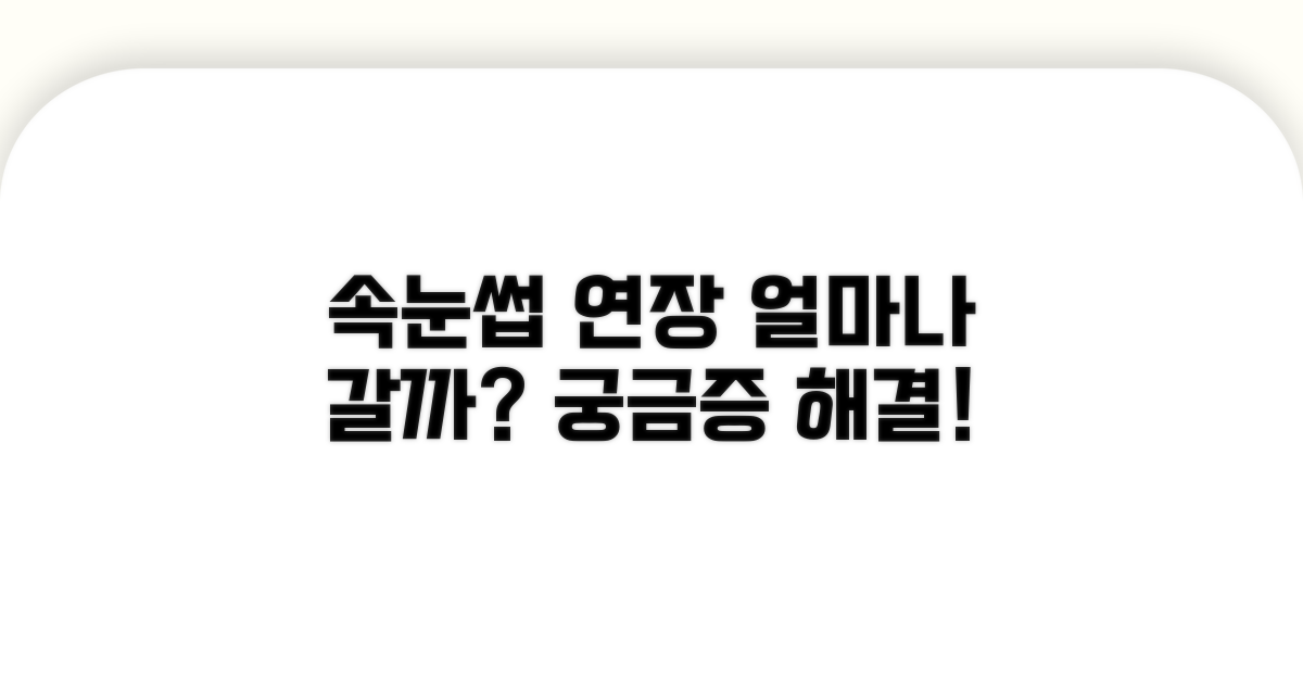 속눈썹 연장, 얼마나 갈까?