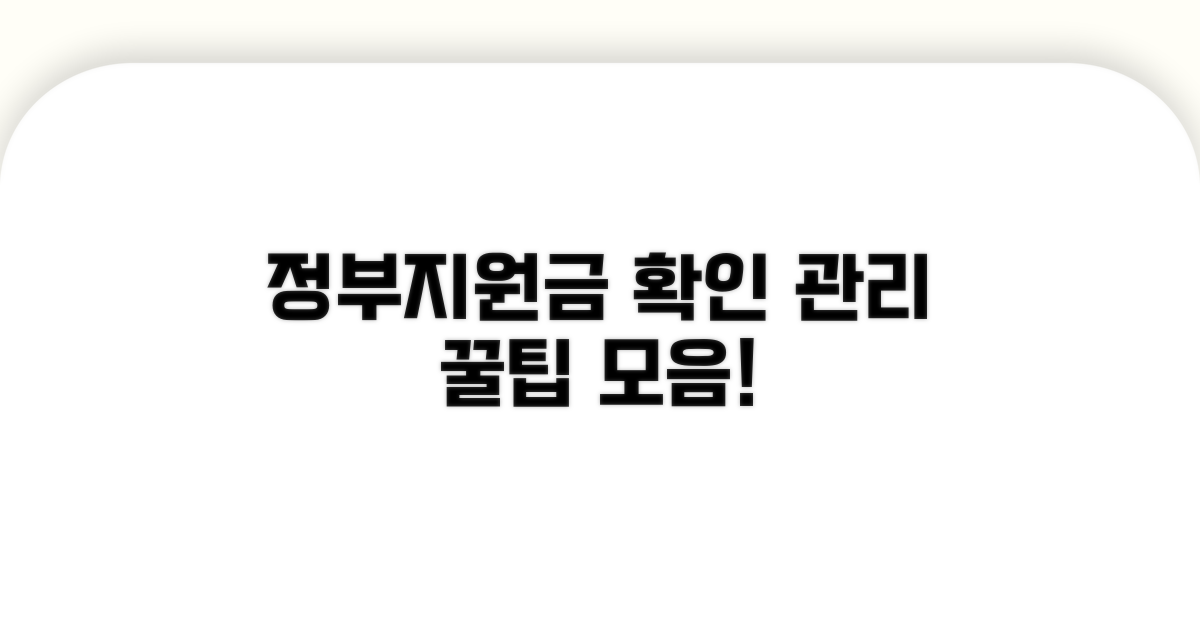 정부 지원금 확인 및 관리 방법