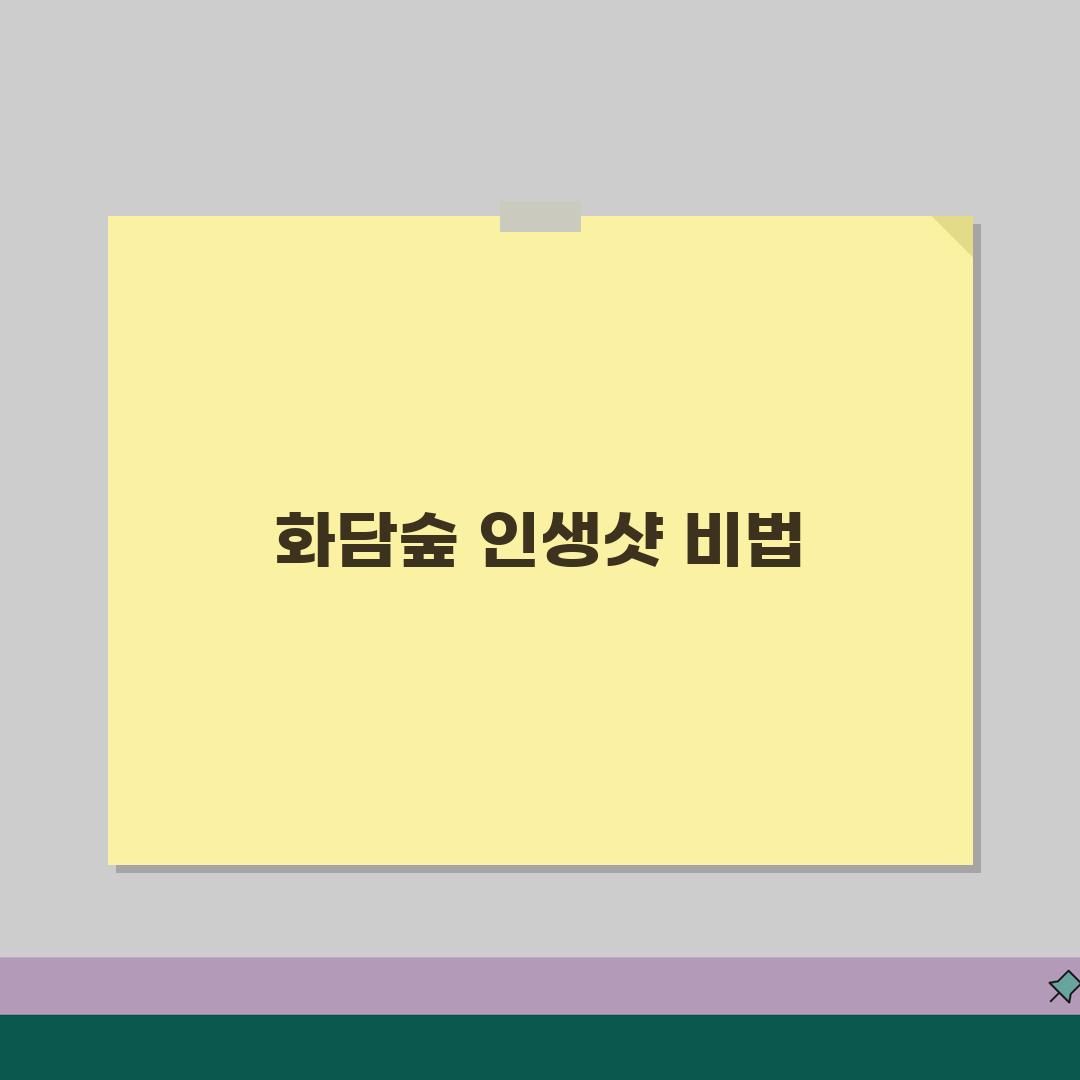 화담숲 사진촬영 스팟가이드 | 시즌별 포토존 + 인생샷 촬영팁 + 조명활용 추천!