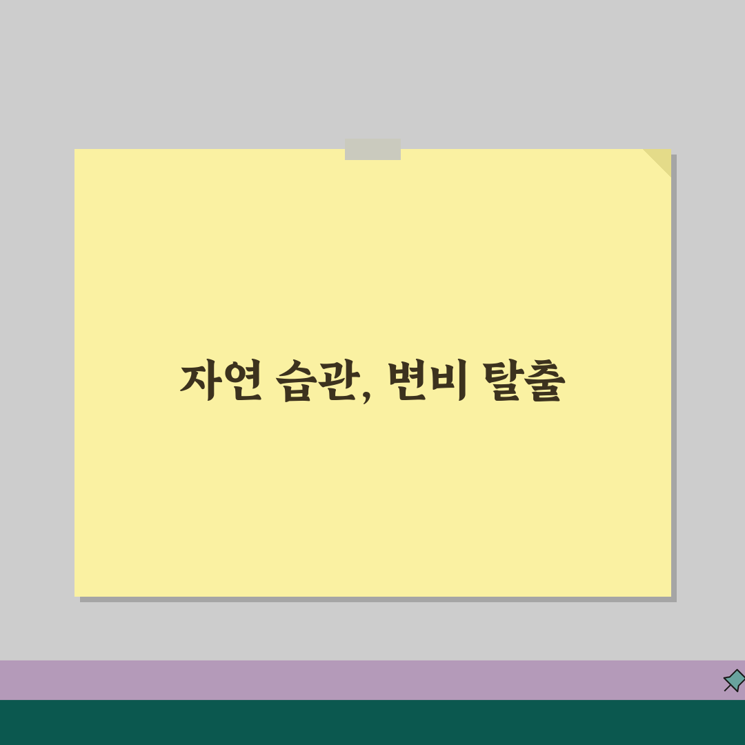 변비해결방법 자연치유 접근 | 식습관/운동/수분섭취 생활 루틴 추천! 이제 시원하게!