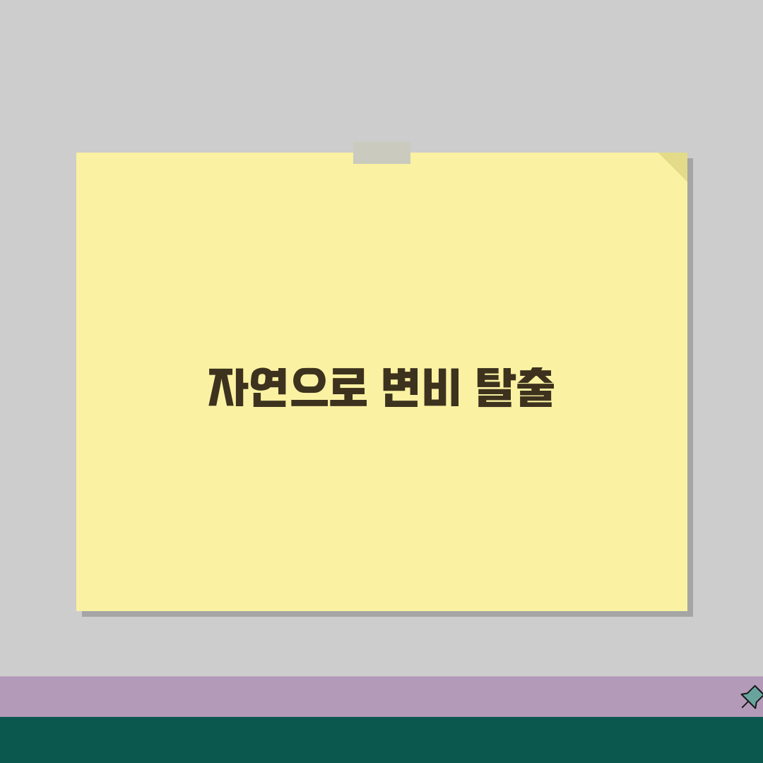변비해결방법 자연치유 접근 | 식습관/운동/수분섭취 생활 루틴 추천! 이제 시원하게!