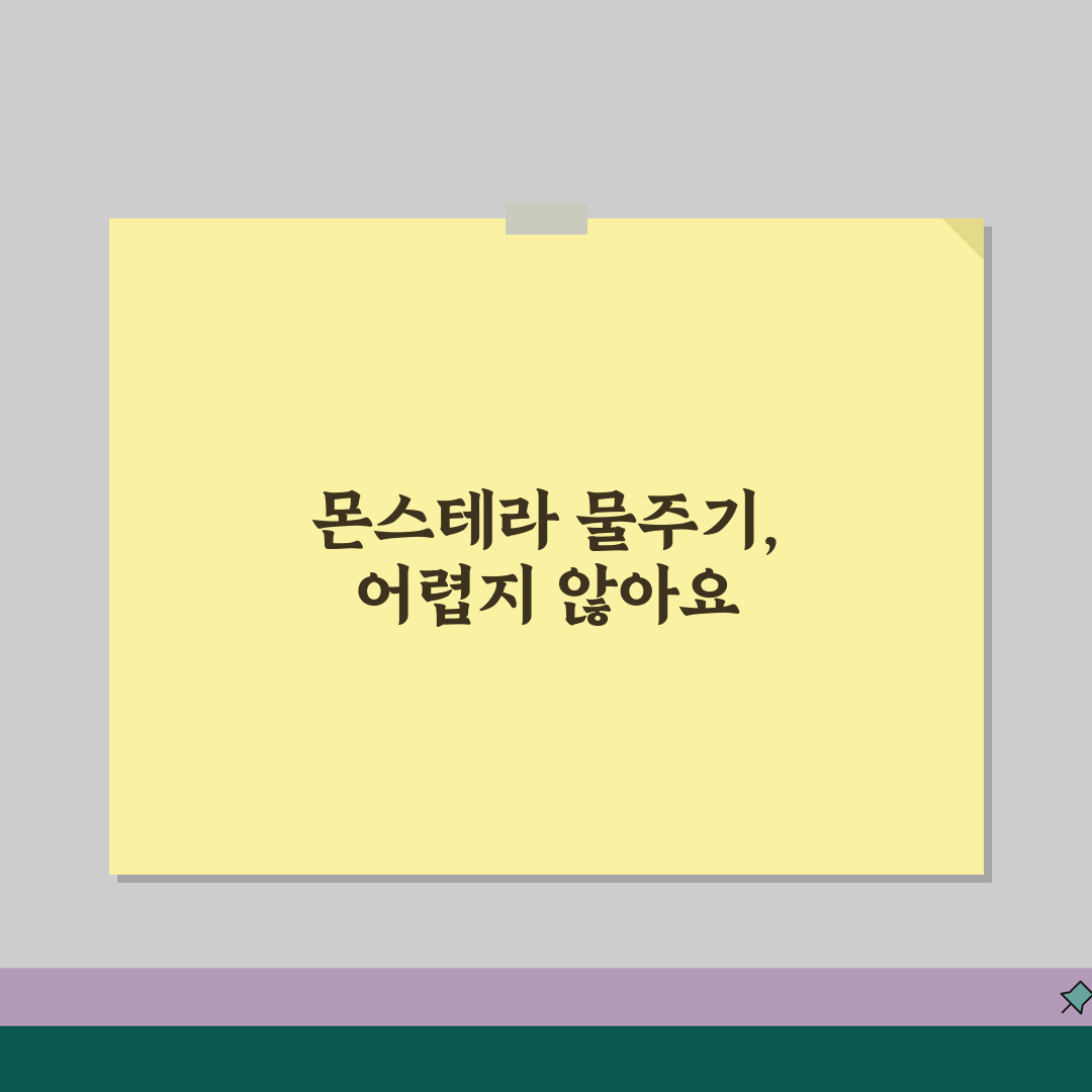 몬스테라 물주기 주기 방법 | 몬스테라 키우기 물 주기 꿀팁 공유해요!