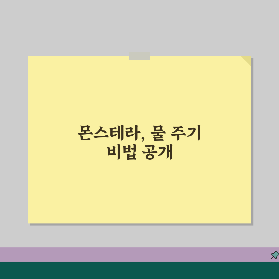 몬스테라 물주기 주기 방법 | 몬스테라 키우기 물 주기 꿀팁 공유해요!