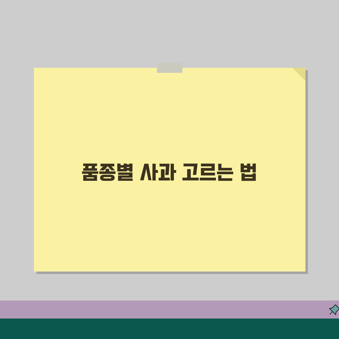 사과 고르는 법 품종별 | 맛있는 사과 선택하는 법 추천! 실패 없이 고르는 꿀팁 알려드려
