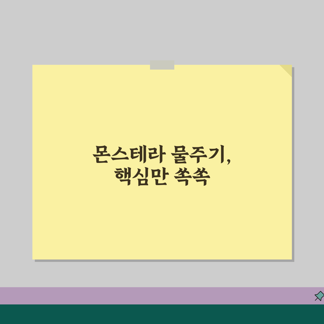 몬스테라 물주기 주기 방법 | 몬스테라 키우기 물 주기 꿀팁 공유해요!