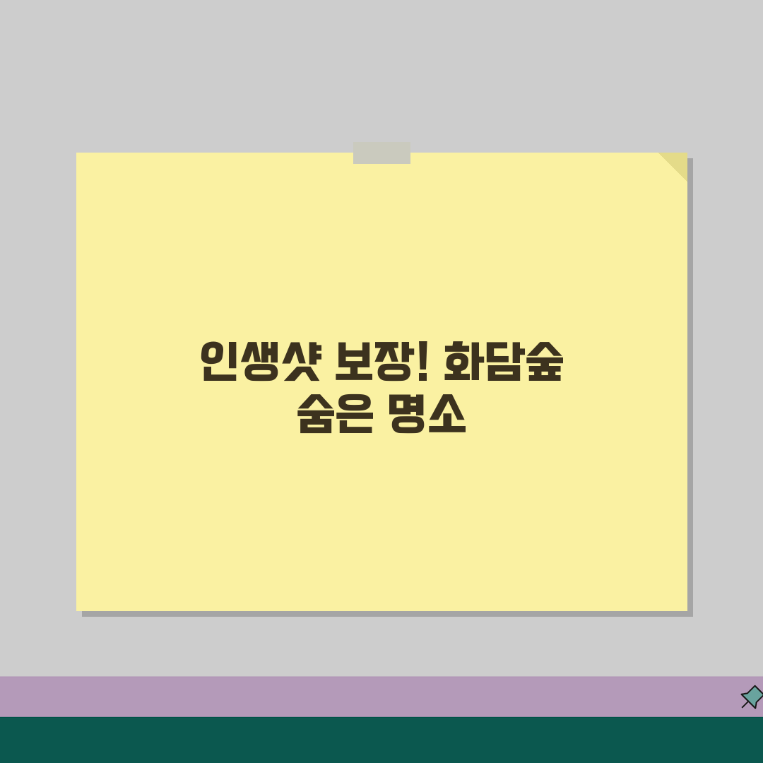 화담숲 사진촬영 스팟가이드 | 시즌별 포토존 + 인생샷 촬영팁 + 조명활용 추천!