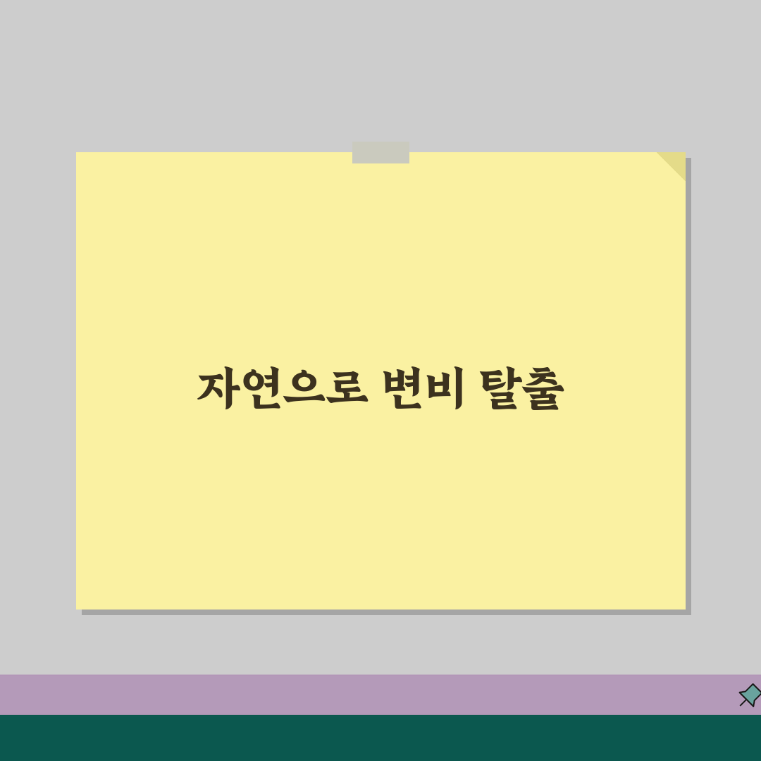 변비해결방법 자연치유 접근 | 식습관/운동/수분섭취 생활 루틴 추천! 이제 시원하게!
