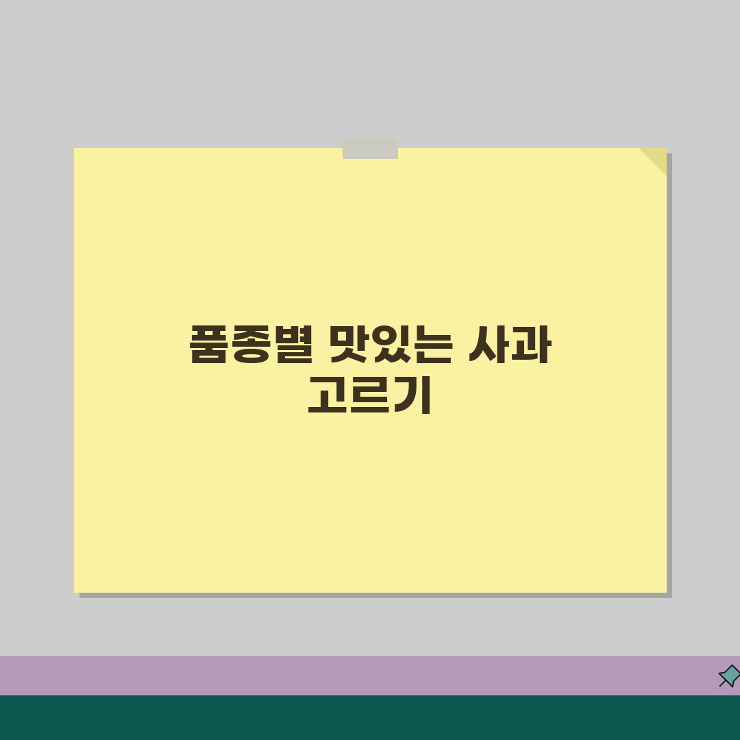 사과 고르는 법 품종별 | 맛있는 사과 선택하는 법 추천! 실패 없이 고르는 꿀팁 알려드려